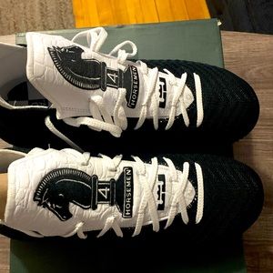 Brand new lebron 4 horseman